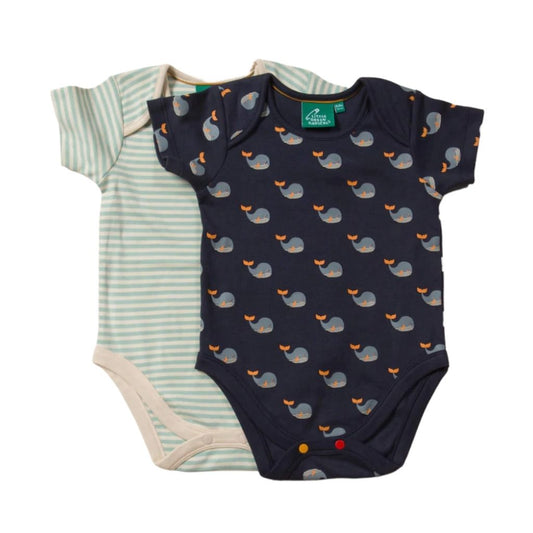 Body Whale Song -Set de 2-